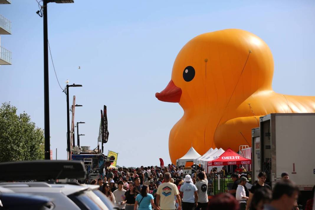 Kente gelen turistler, onu görünce gözlerine inanamadı! Parmakla gösterip endişeyle baktılar 15
